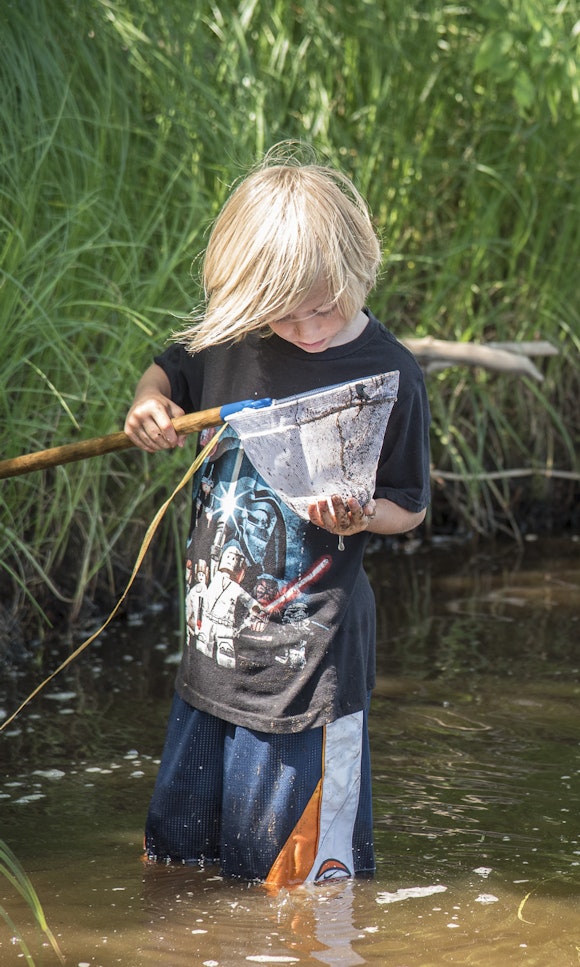 A child stands in a river and looks closely at something in a net