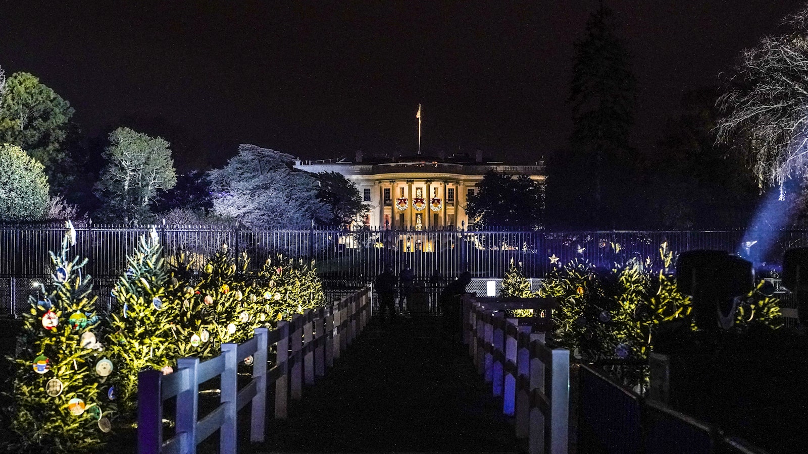 Two rows of illuminated evergreen trees, behind short wooden fences, line a pathway that leads up to an illuminated White House at night