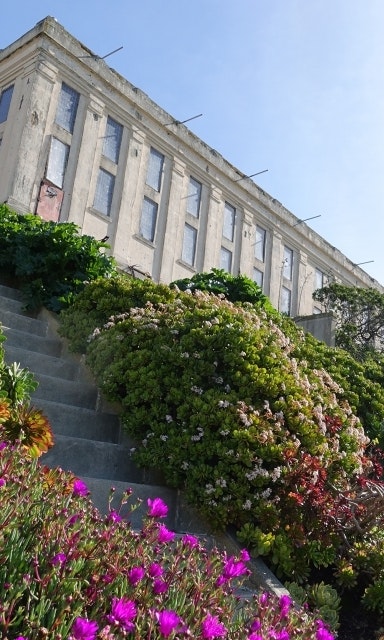 Blooming gardens flank a stone stairway up to a stone building