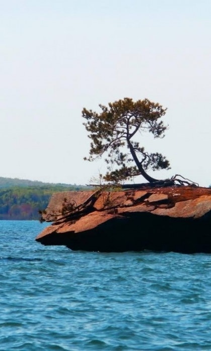 A small raised island, topped with a tree, in the middle of a large lake