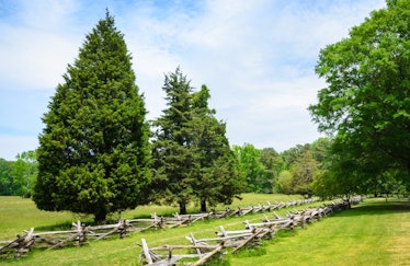 Wooden battlements in a row against a meadow and tall trees