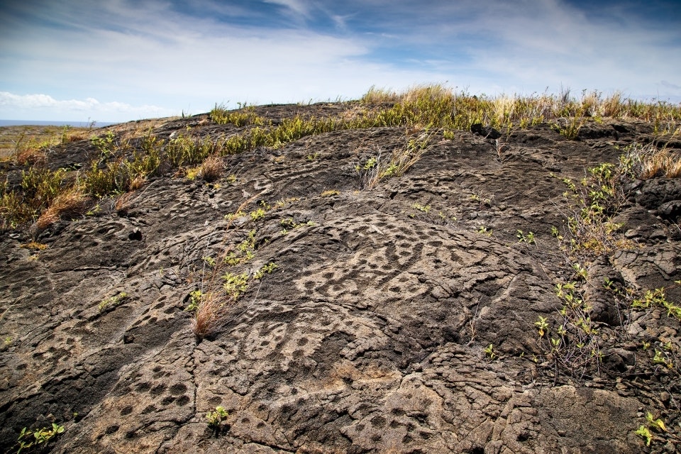 petroglyphs etched in stone on a bumpy landscape, in the distance is green grass
