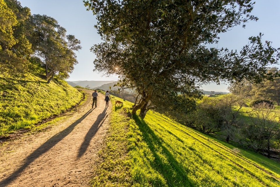 Two people, one walking a dog, walk uphill along a dirt path
