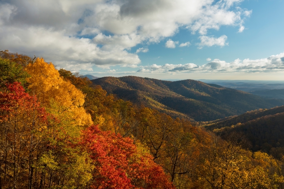 Boulder-dash! The Ultimate Guide to Hiking… | National Park