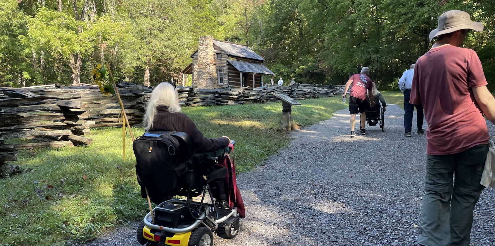 Visitors using motorized chairs navigate a paved trail through a wood
