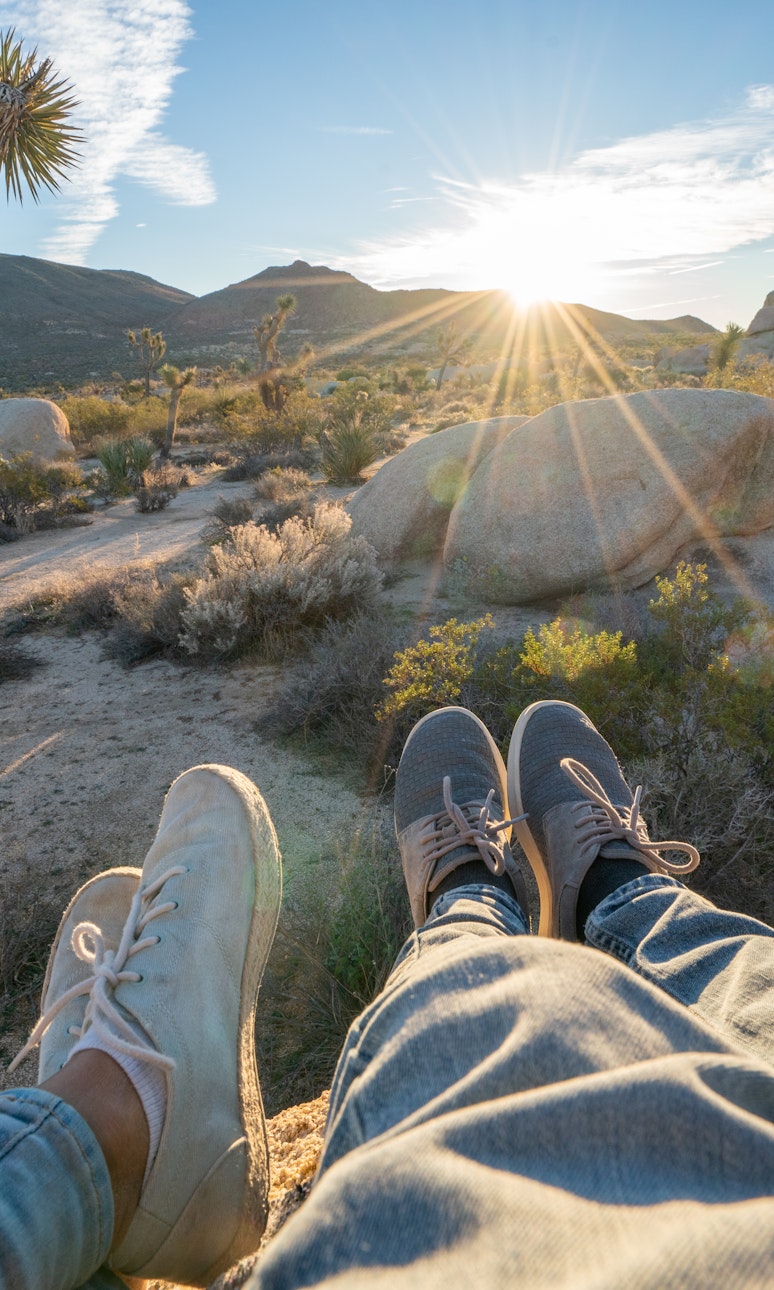 Close up of people's legs stretching out in front of them. In the background are Joshua trees and a desert landscape