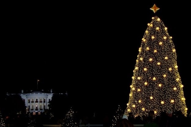 Lights illuminate on a large evergreen tree out front of the White House at night