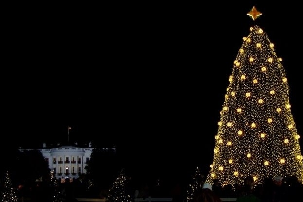 Lights illuminate on a large evergreen tree out front of the White House at night