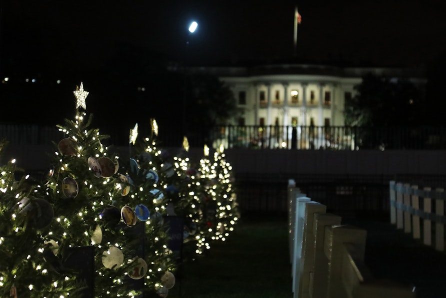 A row of illuminated trees lead to the White House