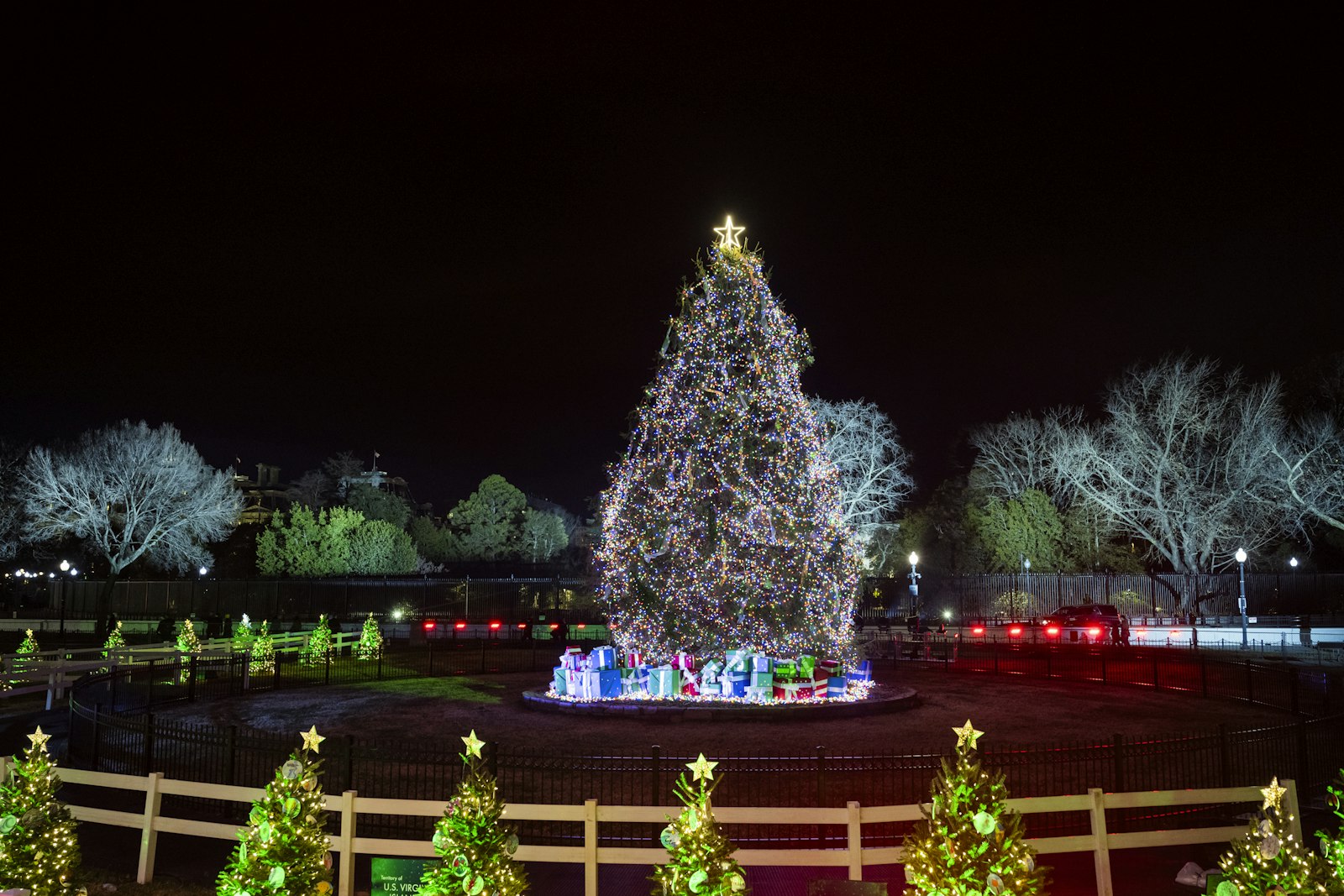A large evergreen tree decorated with strands of lights and topped with a gold star, at night.