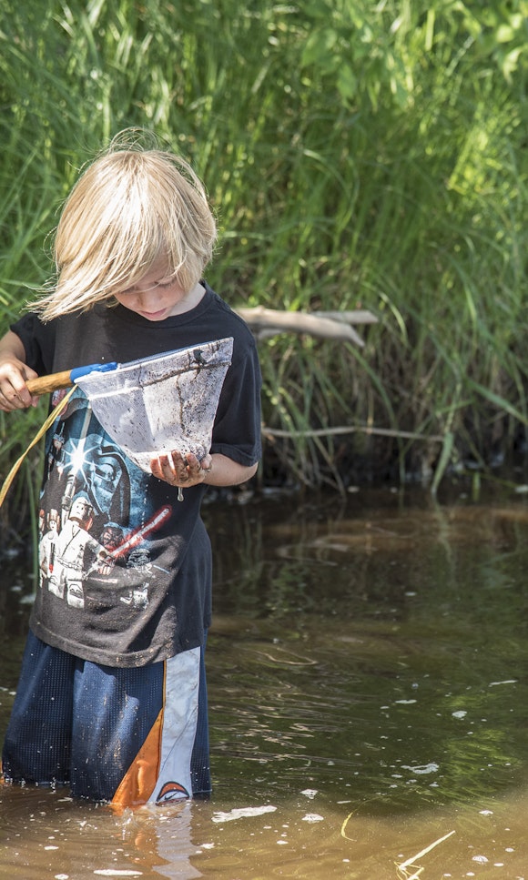 A child stands in a river and looks closely at something in a net