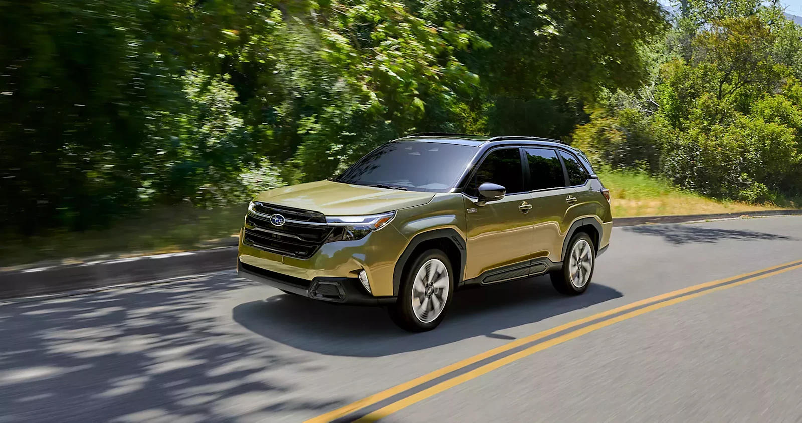 Subaru VIP Signature Program | National Park Foundation