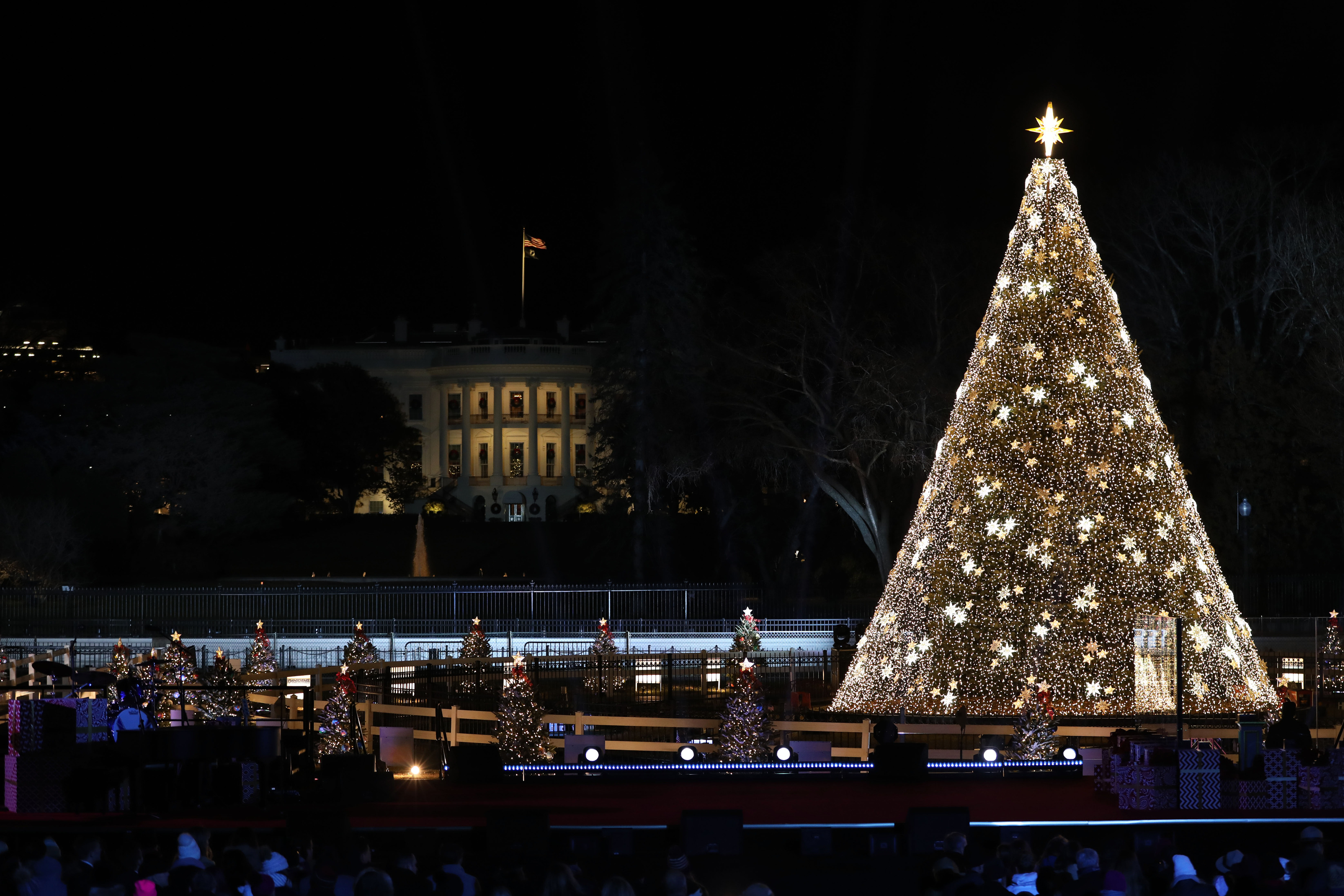 individual tree lights