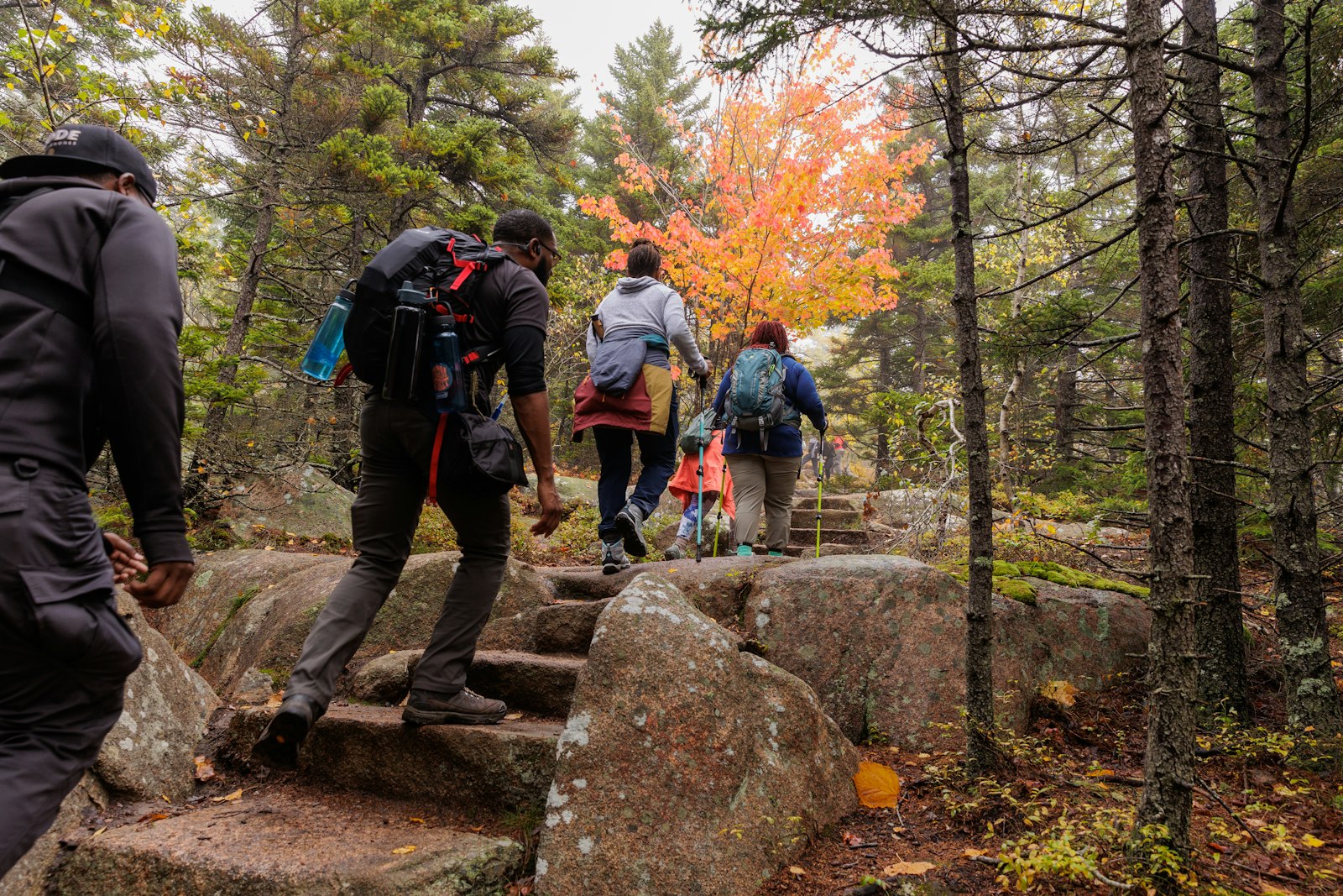 A group of people hike up a trail, using stone steps to walk in a line through fall foliage
