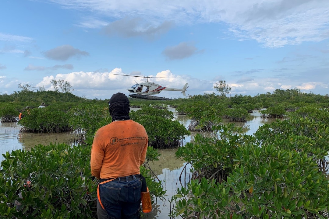 A person wearing an orange shirt looks out onto a glade as a helicopter flies low