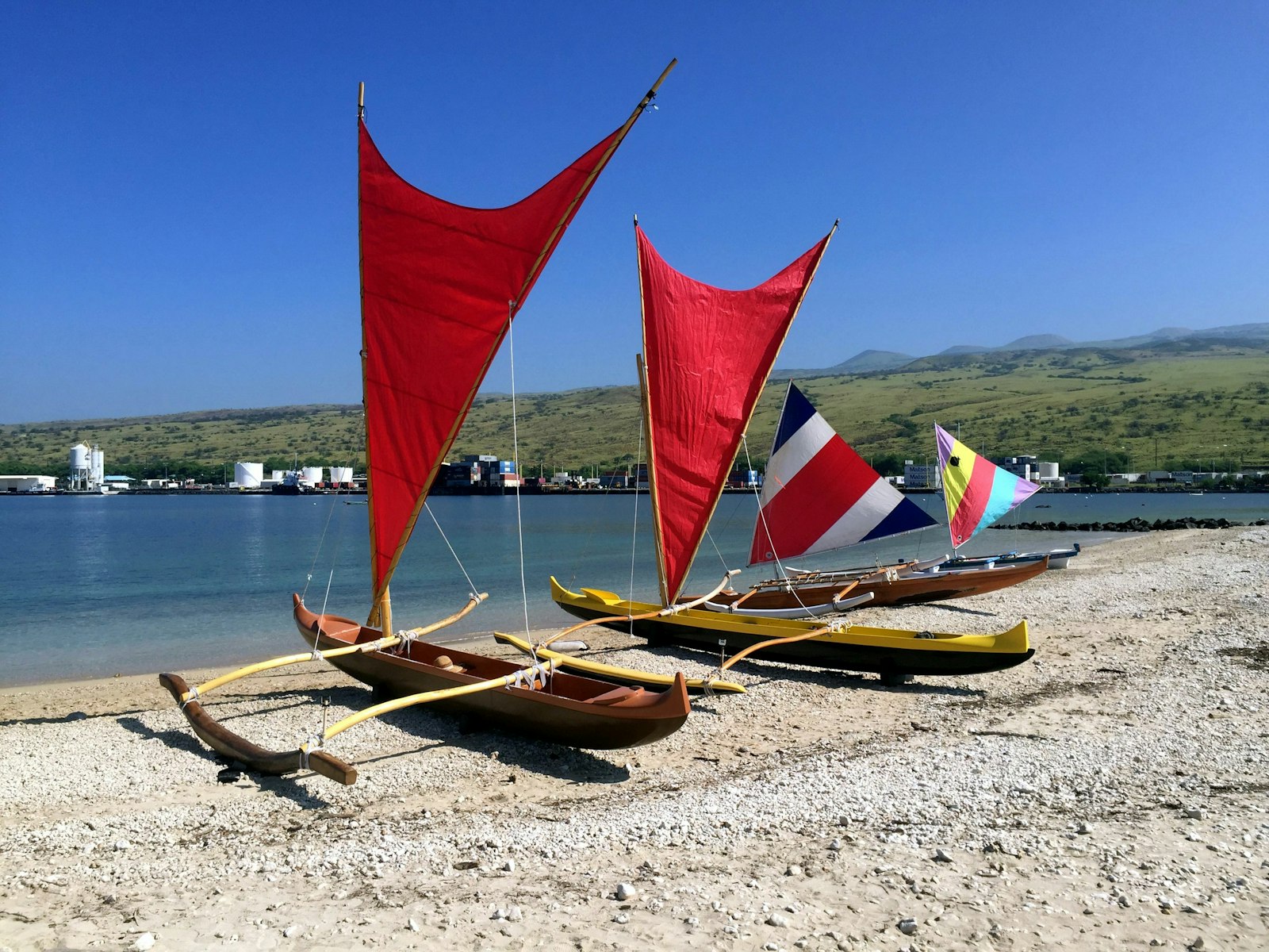 Canoes with sails lined up on a beach