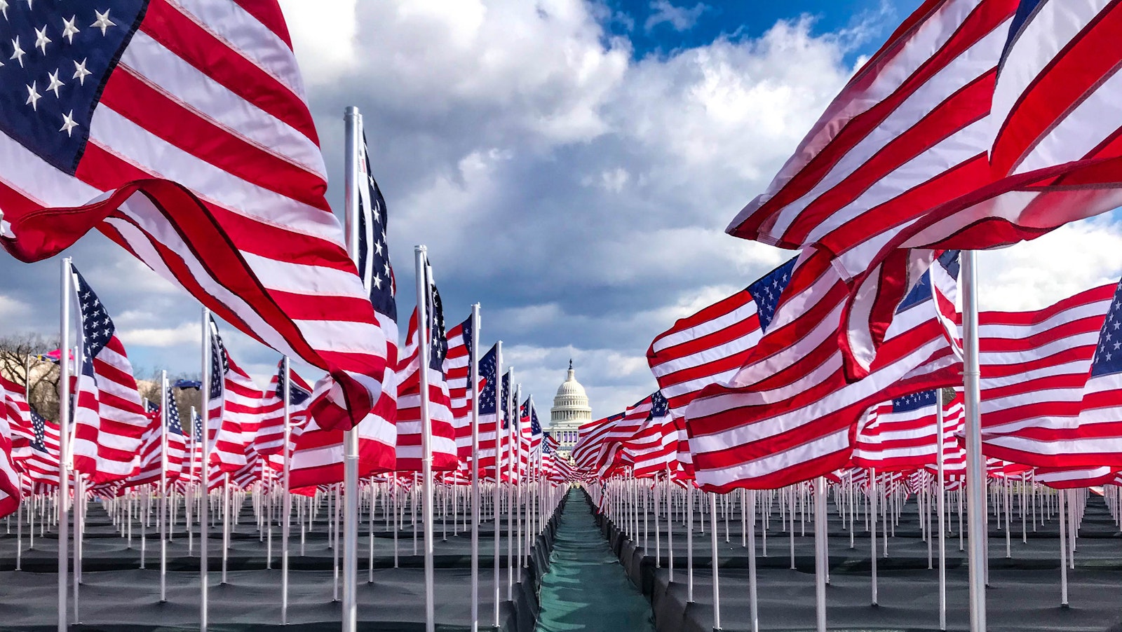 Rows of U.S. flags leading towards the U.S. Capitol building.