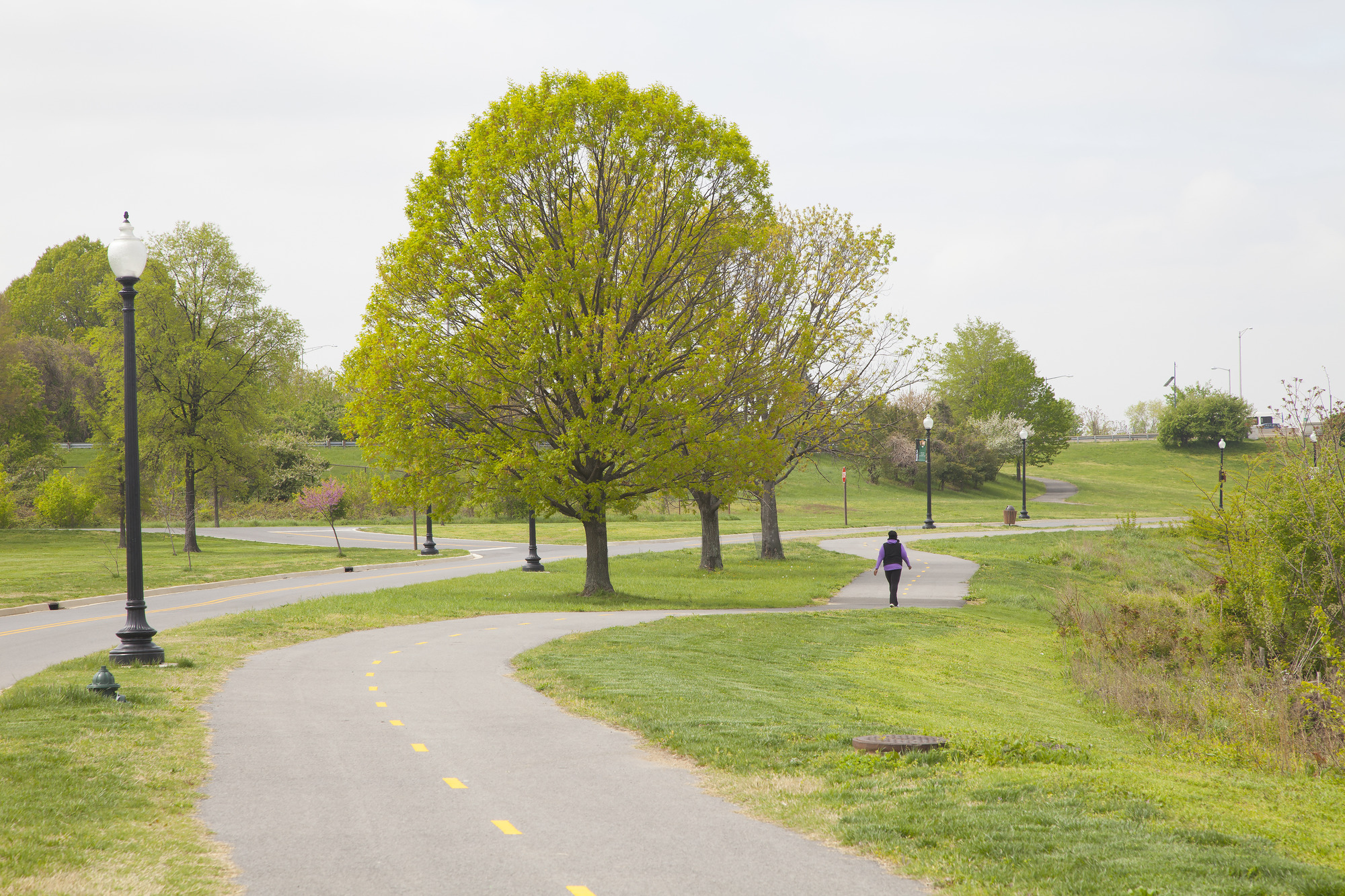 Citizen Scientists Explore The Anacostia… | National Park Foundation