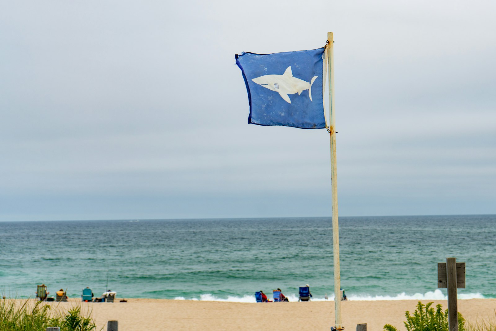 On a beach, two groups of people sit in beach chairs. In the foreground, a blue flag with a white shark silhouette is flying