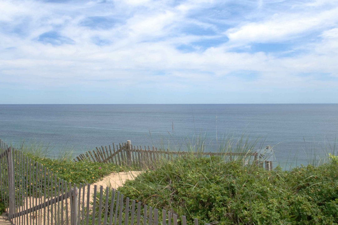Blue ocean is visible beyond a wooden fence and green shrubbery