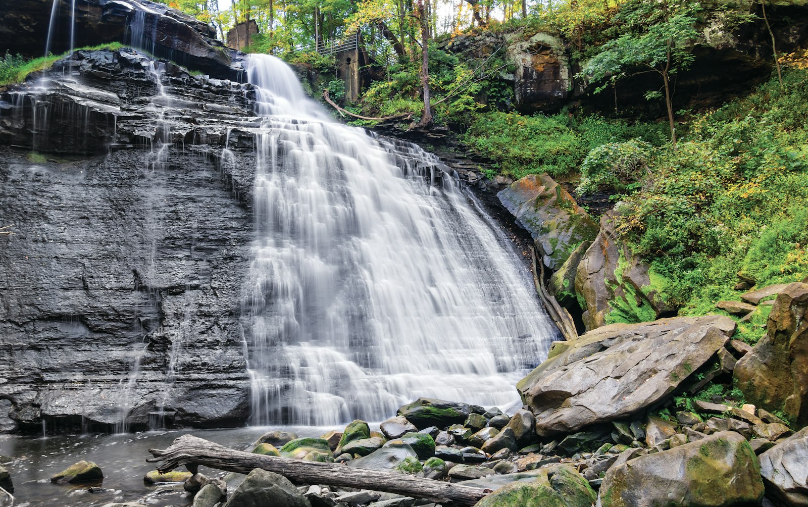 A waterfall cascades down the side of a rocky hill into a lush green forest floor below