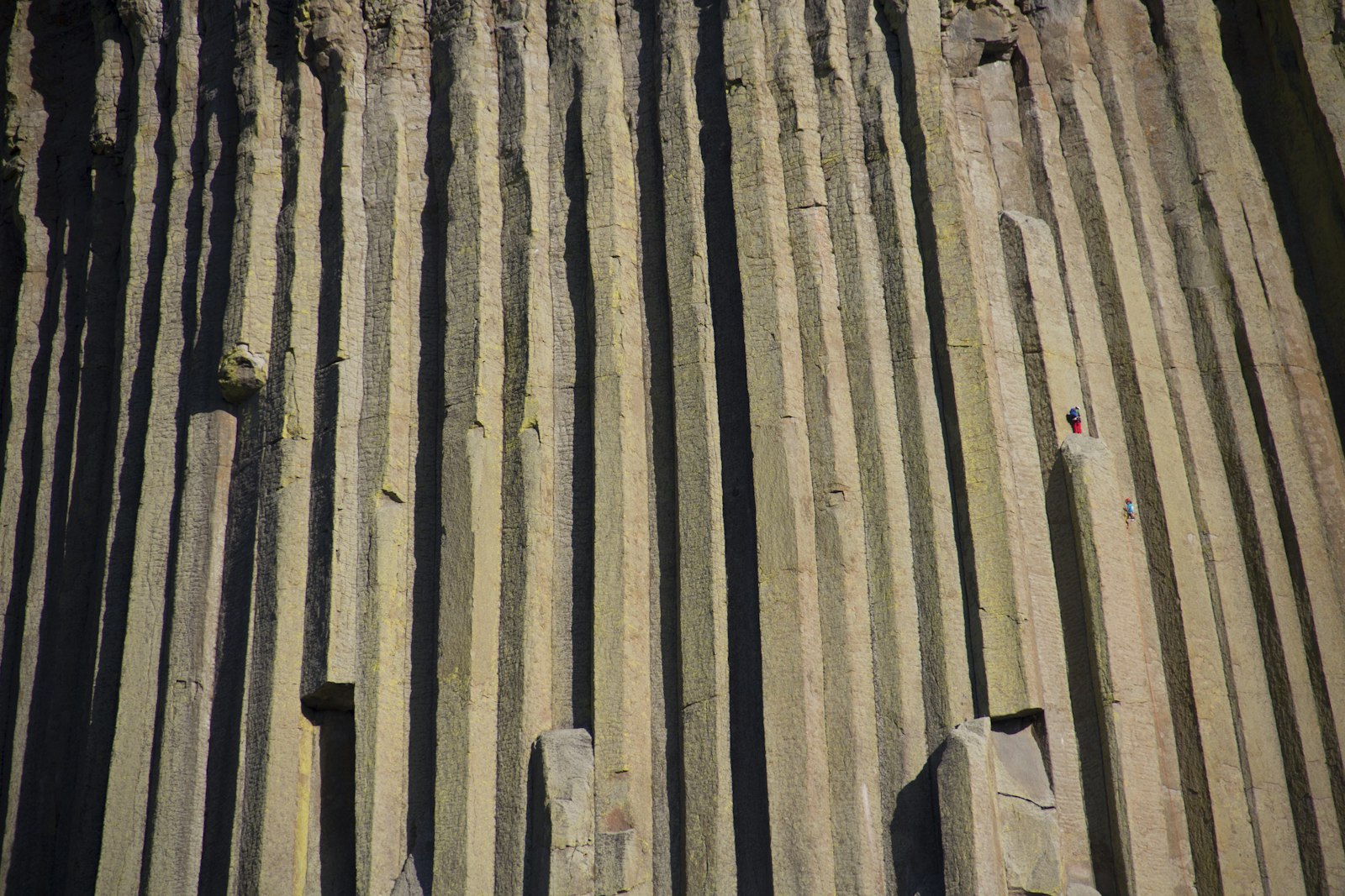 A view of the columns of Devils Tower with two climbers that appear very small amidst the giant columns.