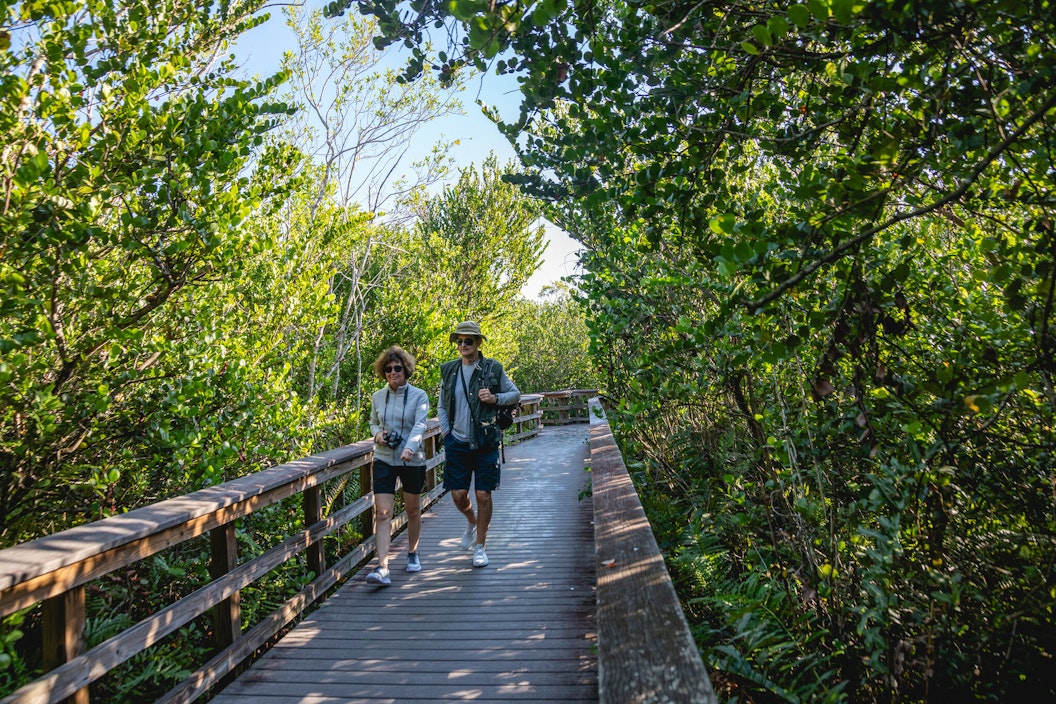 Two people walk along an elevated, wooden boardwalk trail