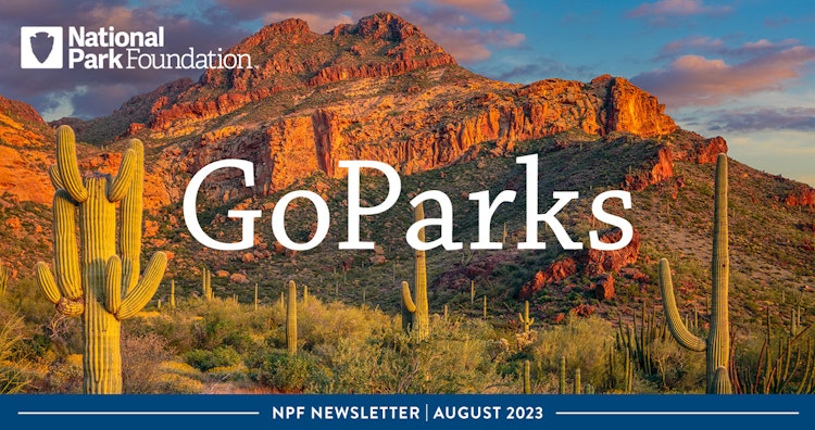 An image of a organ pipe cactus in front of a mountain at sunset. Text reads: "National Park Foundation: GoParks; NPF Newsletter: August 2023"