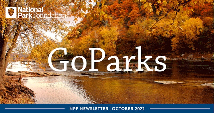 GoParks Newsletter header, depicting autumnal leaves along a river