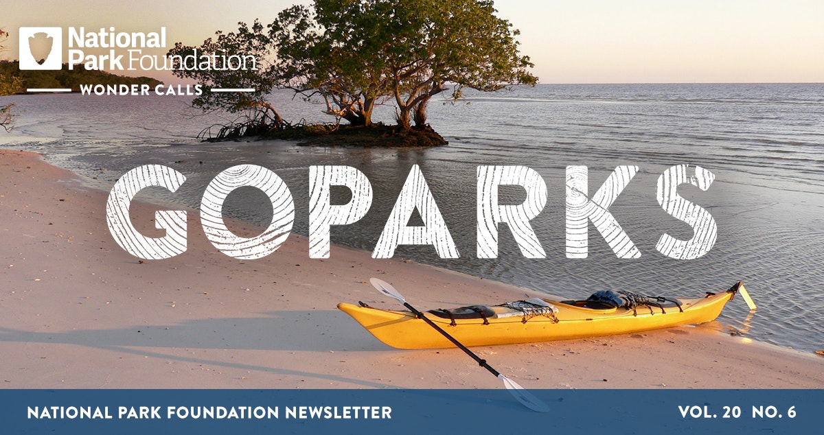 An image of a canoe on a shore. Text reads "GOPARKS; National Park Foundation Newsletter; Vol 20. No. 6"