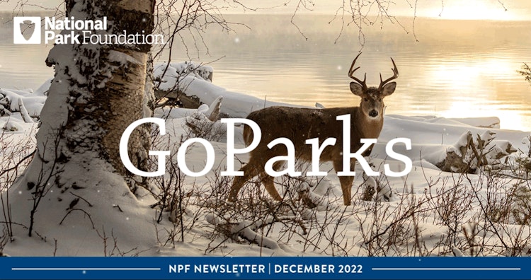 A deer stands amid a snowy landscape. The text reads "GoParks; NPF Newsletter: December 2022"