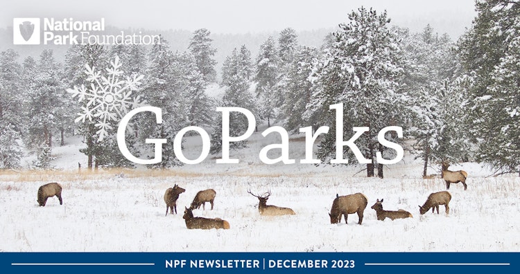 An image of a herd of deer resting in a snowy meadow. Text reads: National Park Foundation; GoParks; NPF Newsletter | December 2023