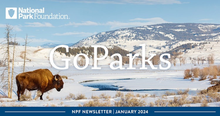 A bison stands in a snow-covered field, next to a frozen pond. Text reads: National Park Foundation; GoParks; NPF Newsletter | January 2024