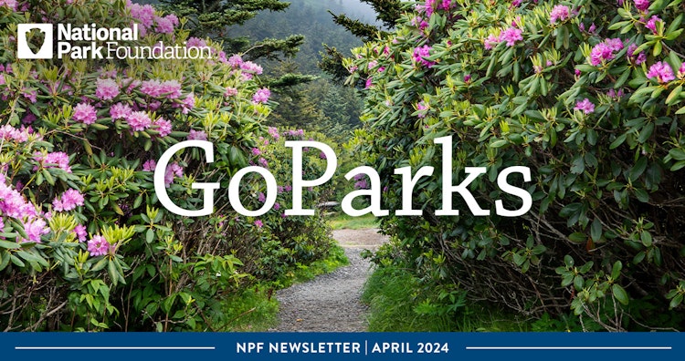 A path along the Appalachian trail with plants and flowers on the side. Text reads: GoParks NPF Newsletter April 2024
