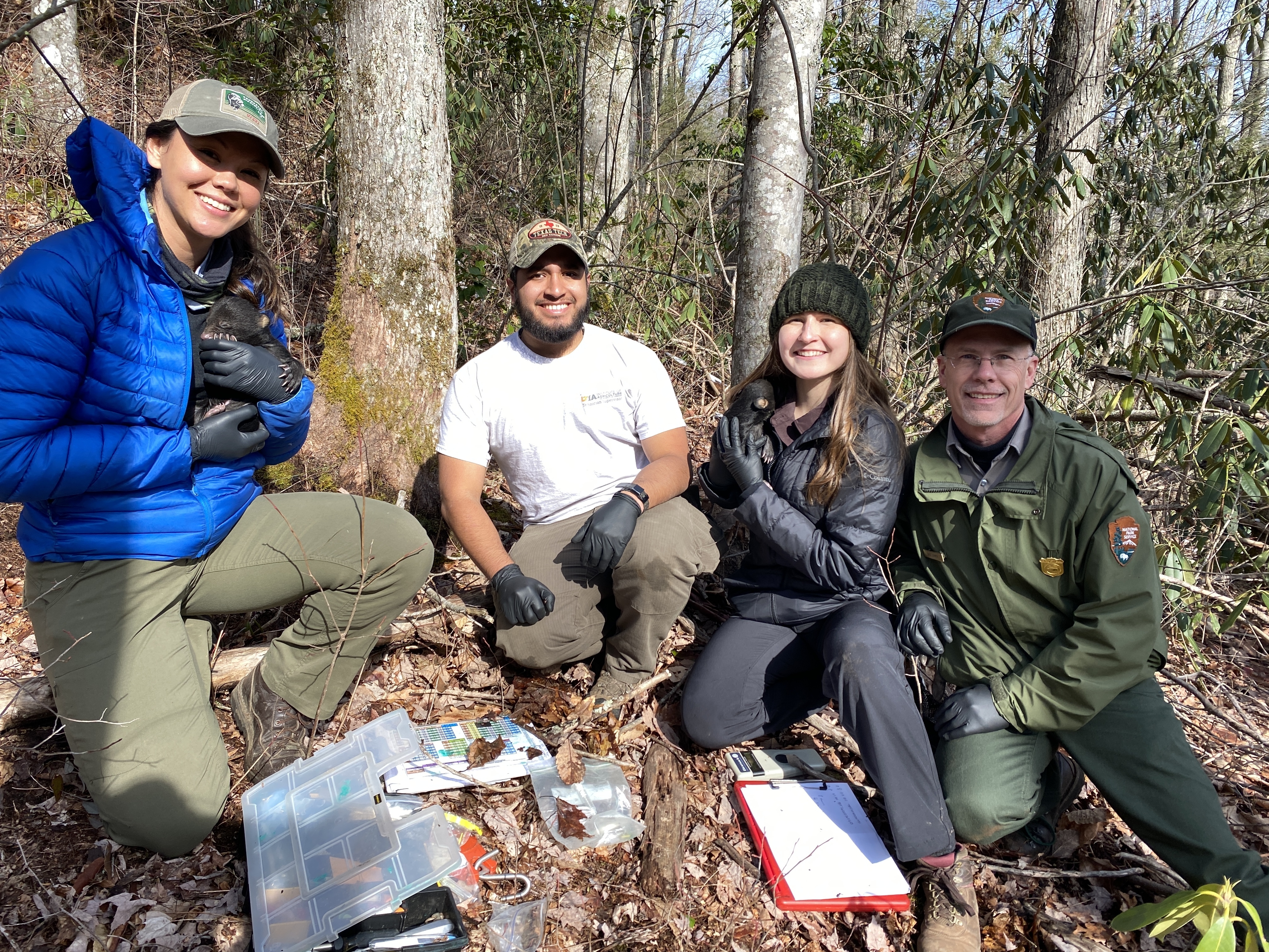 Bear Tracks | National Park Foundation
