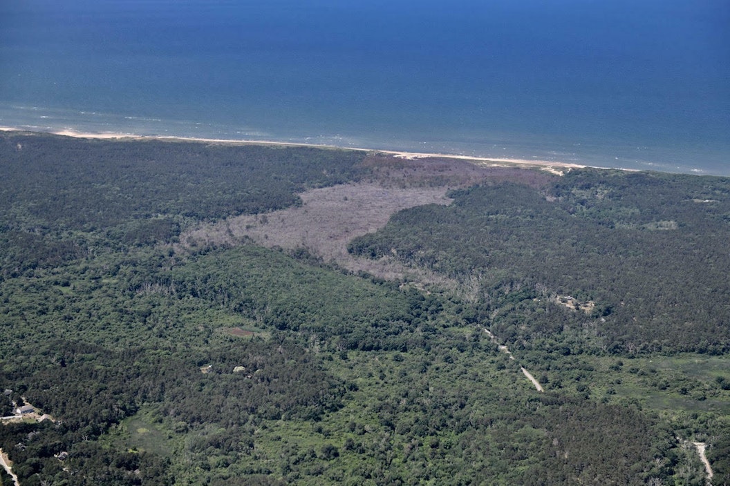 An aerial view of Duck Harbor shows a beach in Cape Cod Bay with brown dying and dead vegetation caused by the saltwater flowing into the area surrounded by the alive, green vegetation at higher elevations.