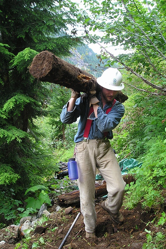 A man holding a large cut tree
