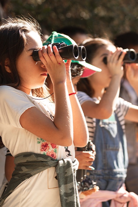 Children looking through binoculars