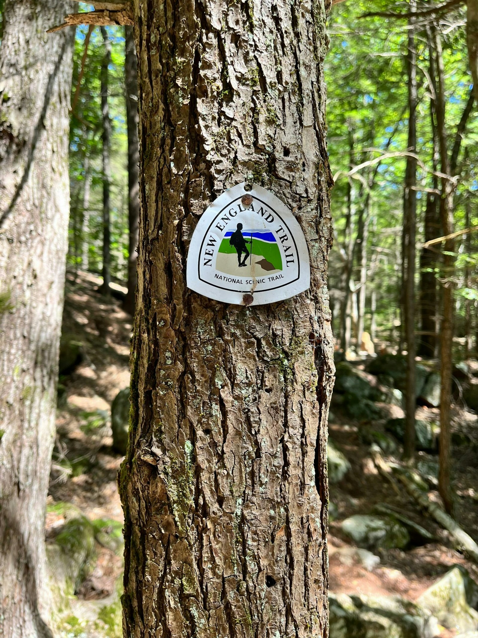 New England National Scenic Trail logo on a tree stump