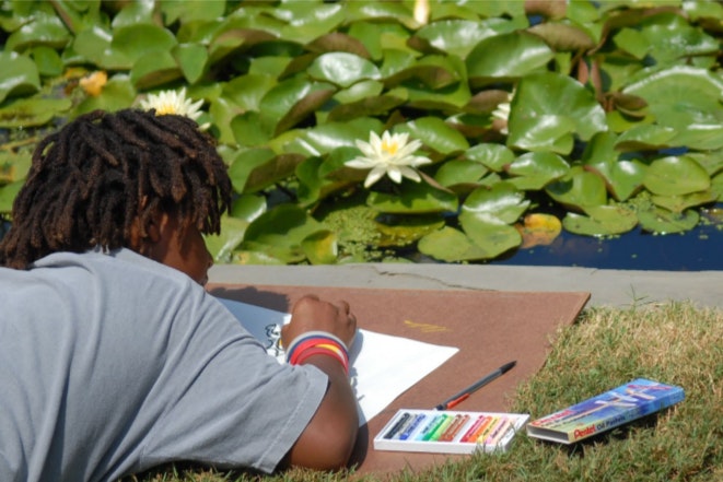 A person lays on their stomach on the ground to sketch water lilies