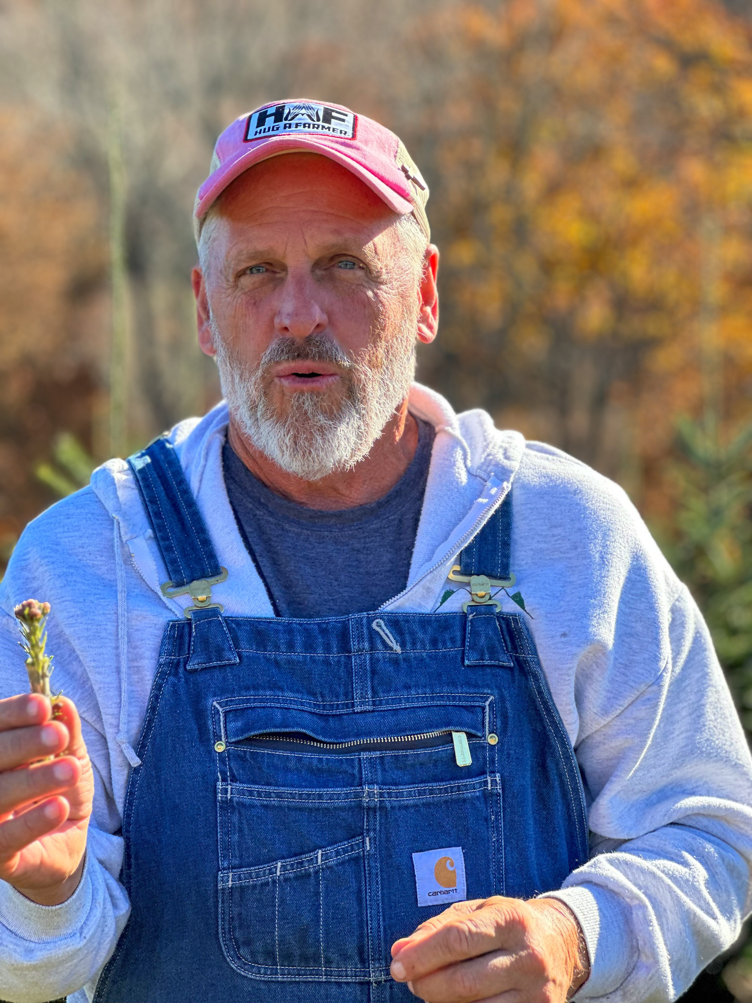 100 Years of the National Christmas Tree