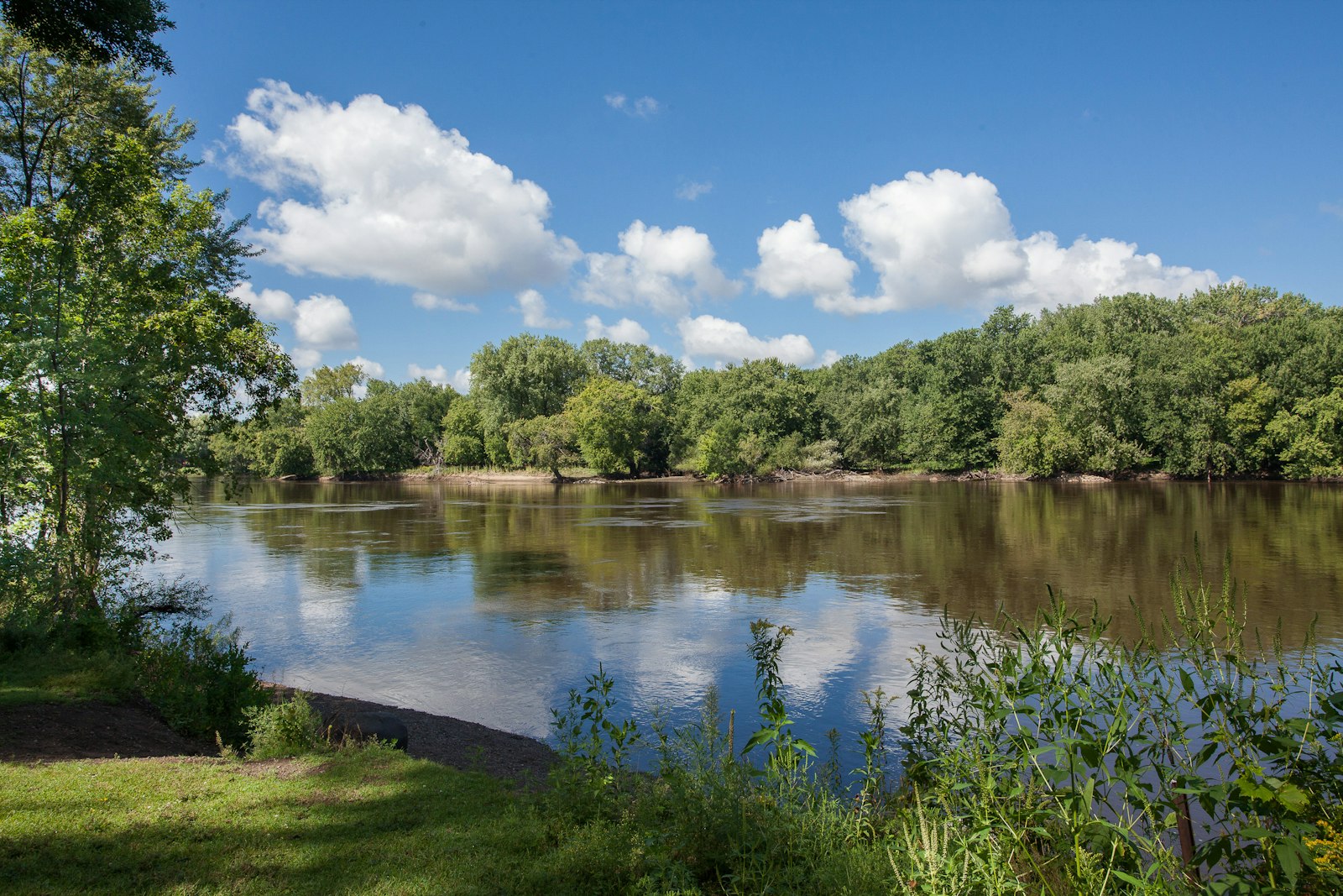 A river is shown with clear skies during a summer day.