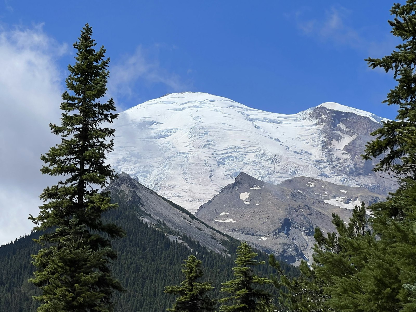 Large glacier on mountain with conifer trees in the foreground and blue skies