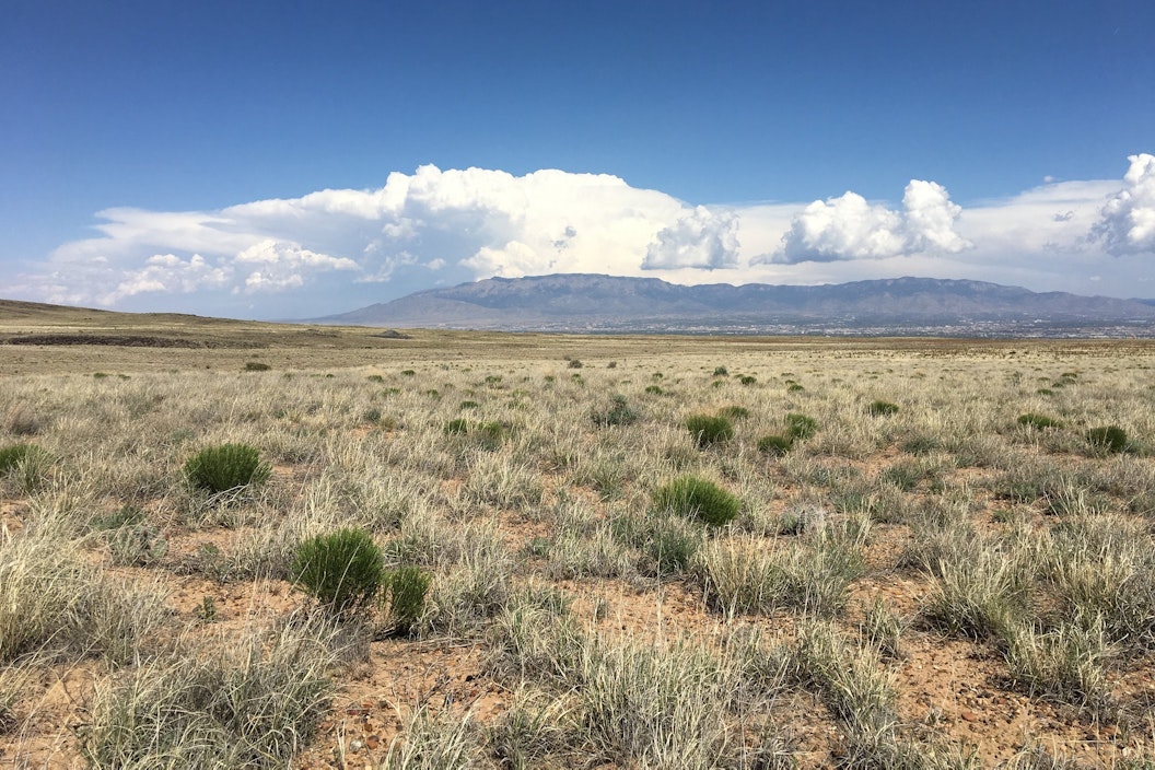 Sandia Mountains in the distance, across a desert landscape