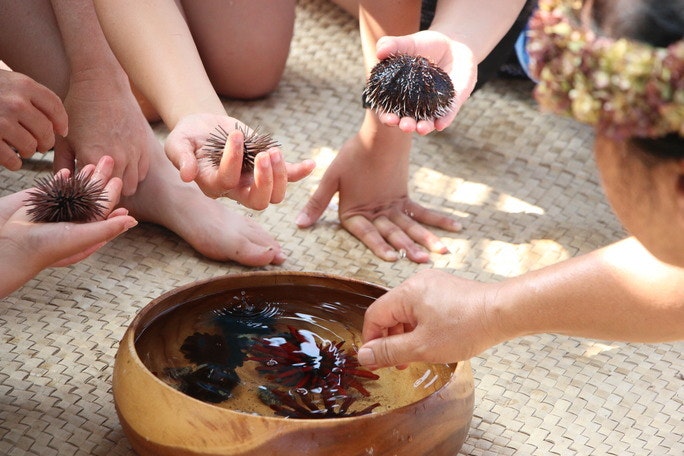 Close up image of three hands holding wana (sea urchin) and a wooden bowl filled with water and wana