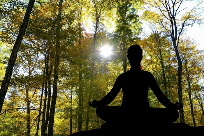 Silhouette of a person sitting cross legged, meditating, in a forest