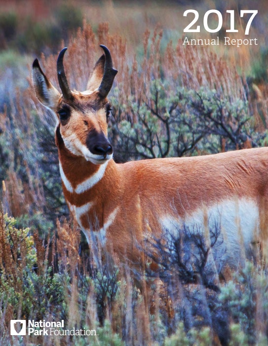 cover of 2017 annual report from NPF, featuring an image of a wildlife at Grand Teton National Park