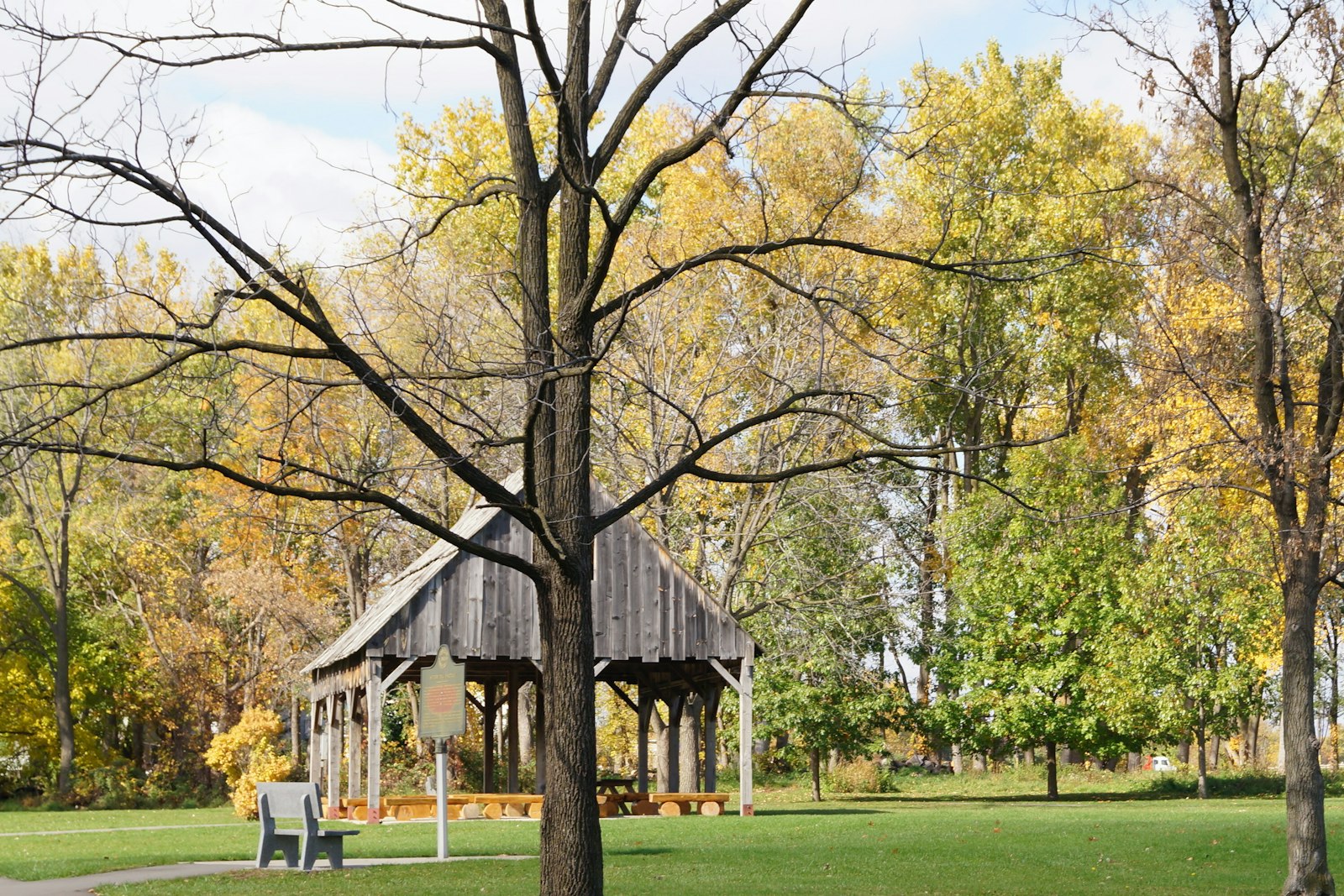 Autumnal-hued trees surround a meadow. Along a trail is a wooden structure with benches underneath, as well as a bench.