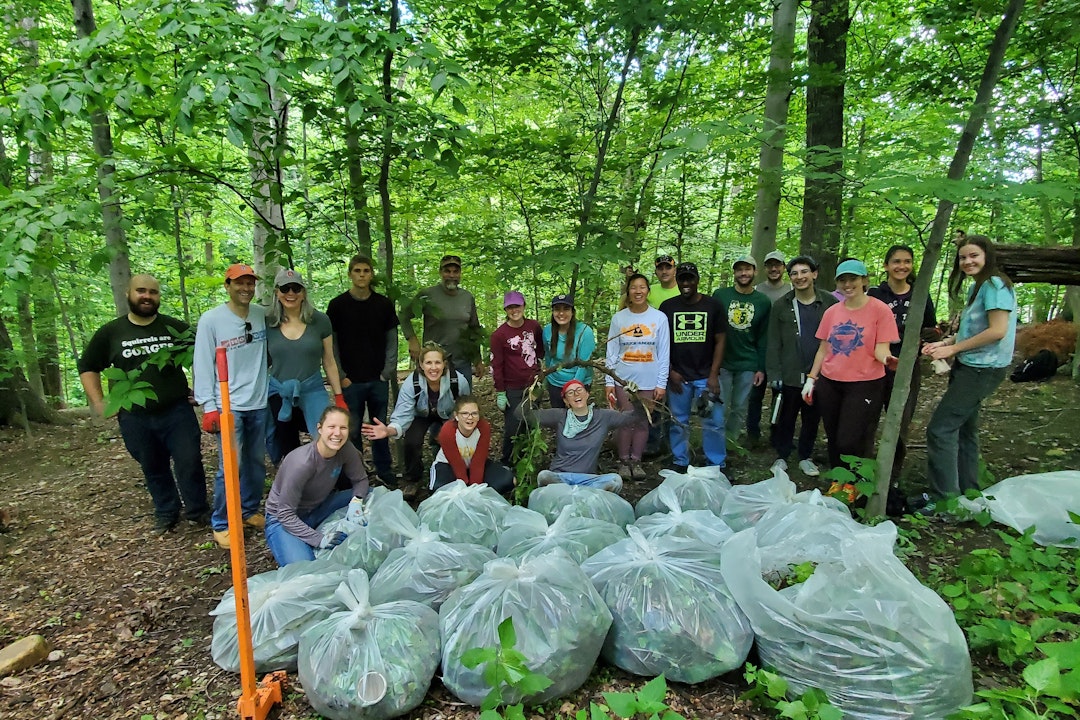 A group photo with a dozen or so people, posing behind large green trash bags filled with invasive species clippings