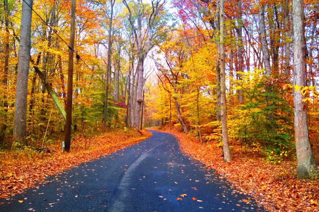 A paved trail cuts through a forest in Autumn. Red and orange leaves line the sides of the trail and the trees overhead are a mix of red, yellow, and a little green.